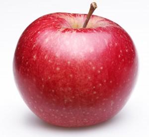 Saisonkalender September: Apfel & Co