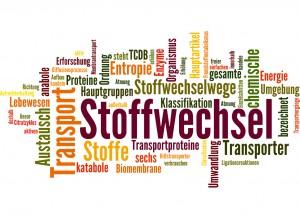 Stoffwechsel (Stoffwechseldiät, Ernährung)